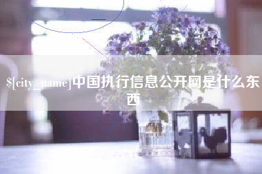 敦煌中国执行信息公开网是什么东西
