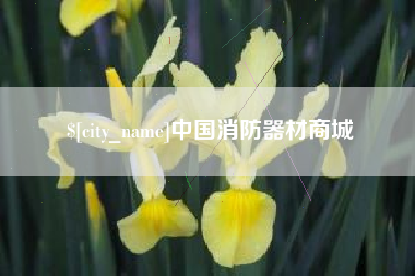敦煌中国消防器材商城