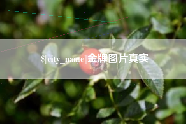 敦煌金牌图片真实