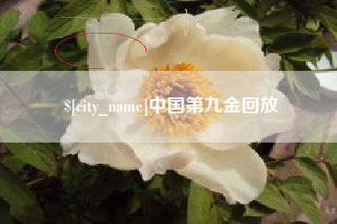 敦煌中国第九金回放