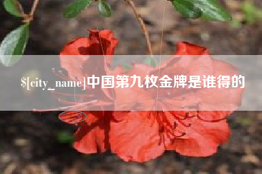 敦煌中国第九枚金牌是谁得的