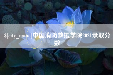 敦煌中国消防救援学院2021录取分数