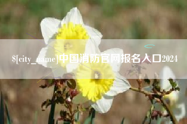 敦煌中国消防官网报名入口2024