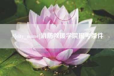 敦煌消防救援学院报考条件