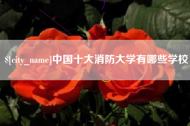 敦煌中国十大消防大学有哪些学校