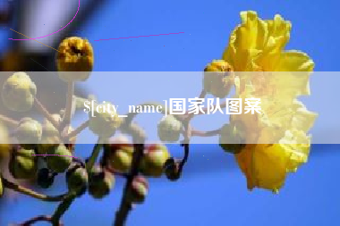 敦煌国家队图案