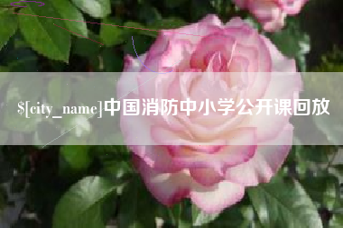 敦煌中国消防中小学公开课回放