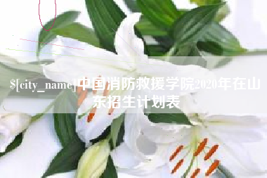敦煌中国消防救援学院2020年在山东招生计划表