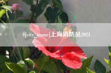 敦煌上海消防员2021