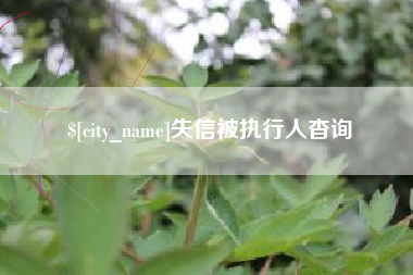 敦煌失信被执行人杳询