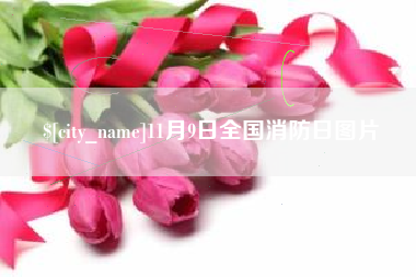 敦煌11月9日全国消防日图片