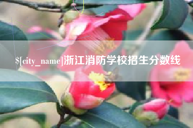 敦煌浙江消防学校招生分数线