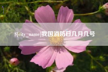 敦煌我国消防日几月几号