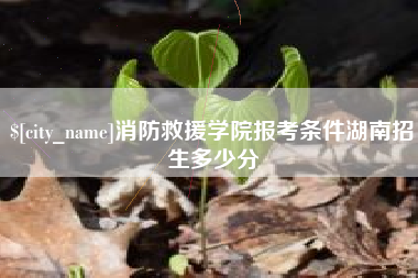 敦煌消防救援学院报考条件湖南招生多少分