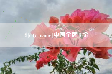 敦煌中国金牌18金