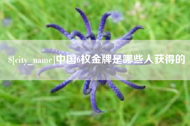 敦煌中国6枚金牌是哪些人获得的