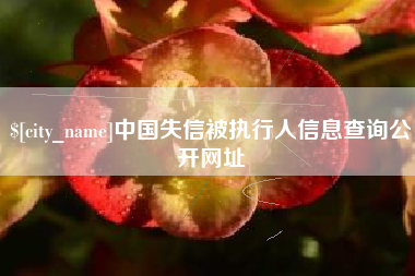 敦煌中国失信被执行人信息查询公开网址
