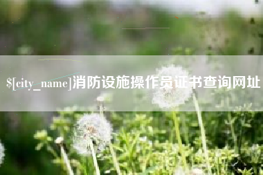 敦煌消防设施操作员证书查询网址