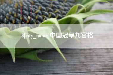 敦煌中国冠军九宫格