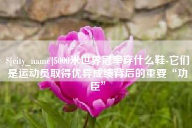 敦煌5000米世界冠军穿什么鞋-它们是运动员取得优异成绩背后的重要“功臣”