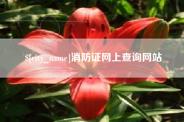 敦煌消防证网上查询网站