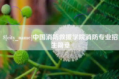 敦煌中国消防救援学院消防专业招生简章