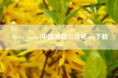 敦煌中国消防公众号app下载
