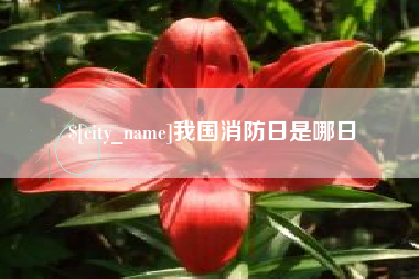 敦煌我国消防日是哪日