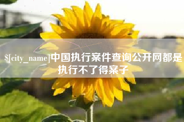 敦煌中国执行案件查询公开网都是执行不了得案子