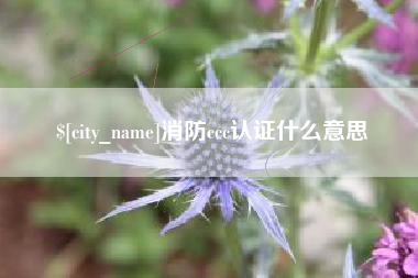 敦煌消防ccc认证什么意思