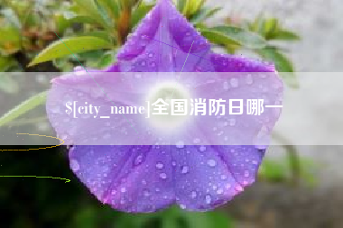 敦煌全国消防日哪一