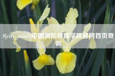 敦煌中国消防救援学院官网首页查询