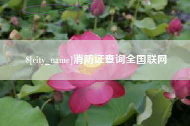 敦煌消防证查询全国联网