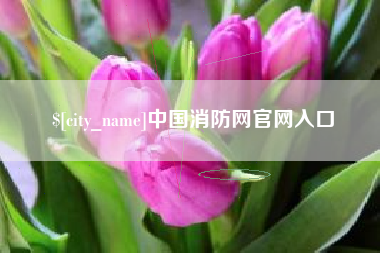敦煌中国消防网官网入口