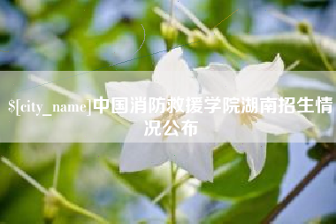 敦煌中国消防救援学院湖南招生情况公布