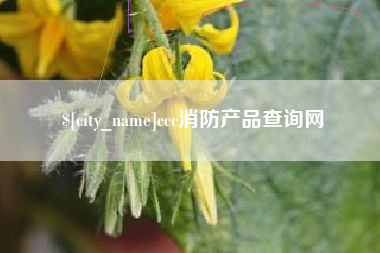 敦煌ccc消防产品查询网