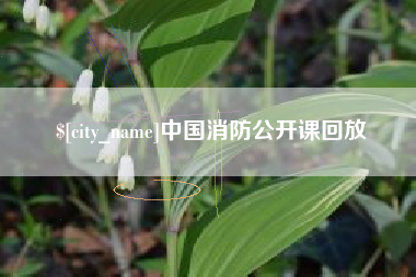敦煌中国消防公开课回放