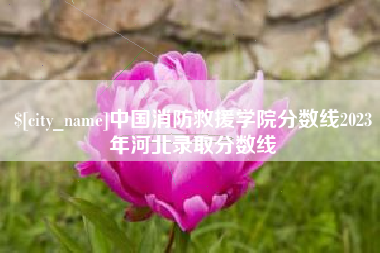 敦煌中国消防救援学院分数线2023年河北录取分数线