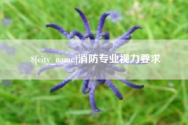 敦煌消防专业视力要求
