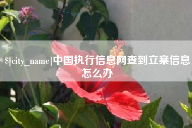 敦煌中国执行信息网查到立案信息怎么办