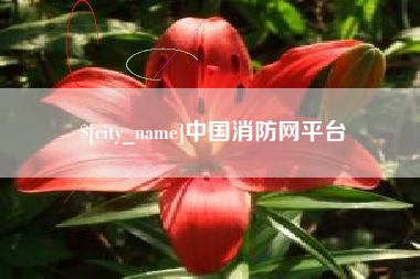 敦煌中国消防网平台