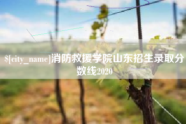 敦煌消防救援学院山东招生录取分数线2020
