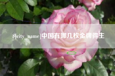 敦煌中国有哪几枚金牌得主