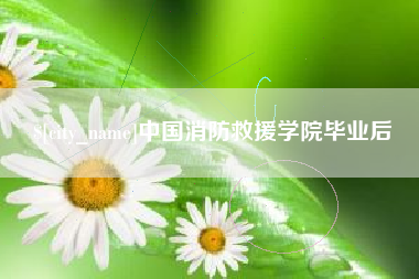 敦煌中国消防救援学院毕业后
