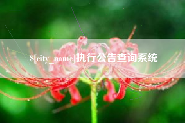 敦煌执行公告查询系统