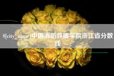 敦煌中国消防救援学院浙江省分数线