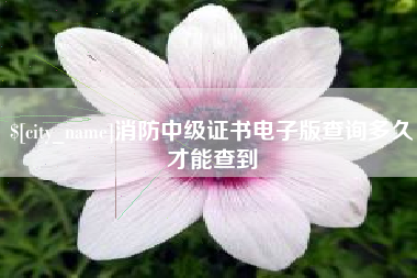 敦煌消防中级证书电子版查询多久才能查到