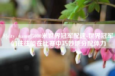 敦煌5000米世界冠军配速-世界冠军们往往能在比赛中巧妙地分配体力