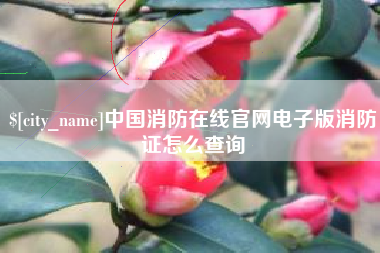 敦煌中国消防在线官网电子版消防证怎么查询