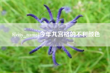 敦煌今年九宫格的不利颜色